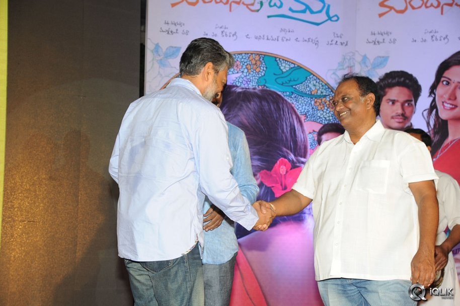 Kundanapu-Bomma-Movie-Audio-Launch